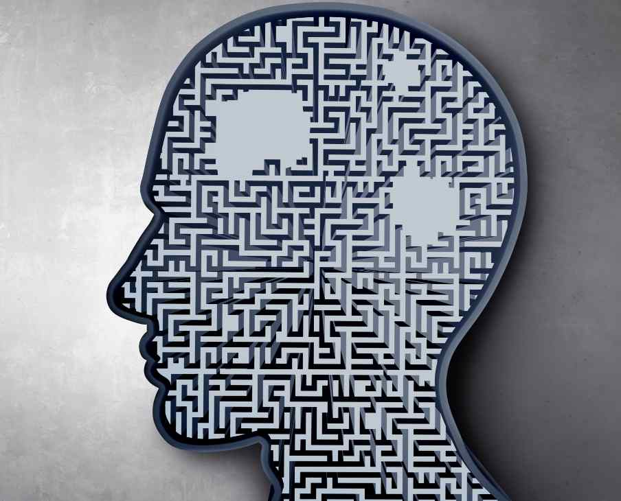 Brain puzzle