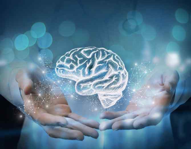Brain Health