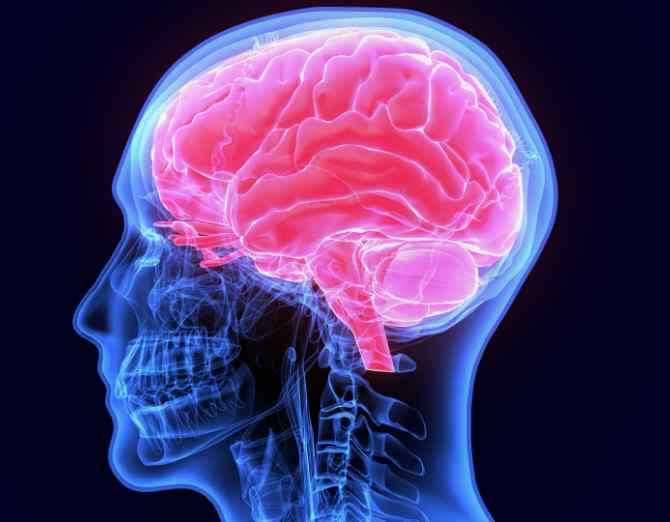 Acti-V8 Your Brain